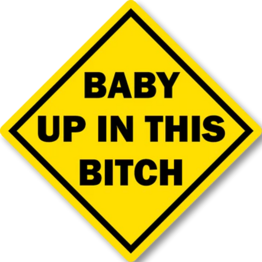 Baby Up In This Bitch Funny Bumper Sticker 6" x 6"